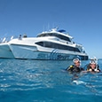 Silverswift dive & snorkel tour operator Cairns, Australia.