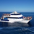 Reef Experience Boat