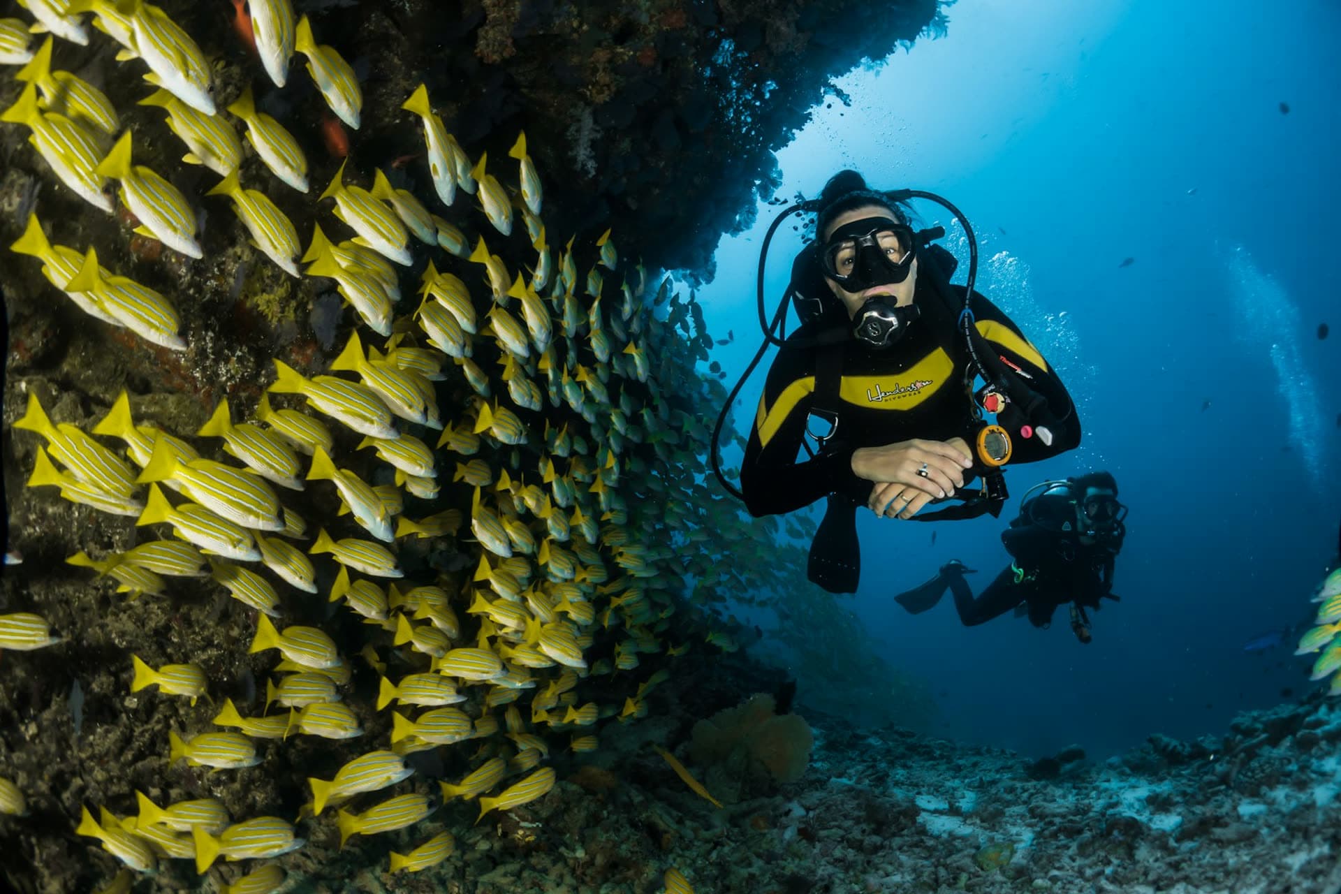 Coral and clear water on the Great Barrier Reef