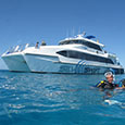 Cairns Snorkel Dive Tours