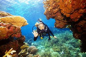 Reef-Magic-Cruises-Scuba-Diver