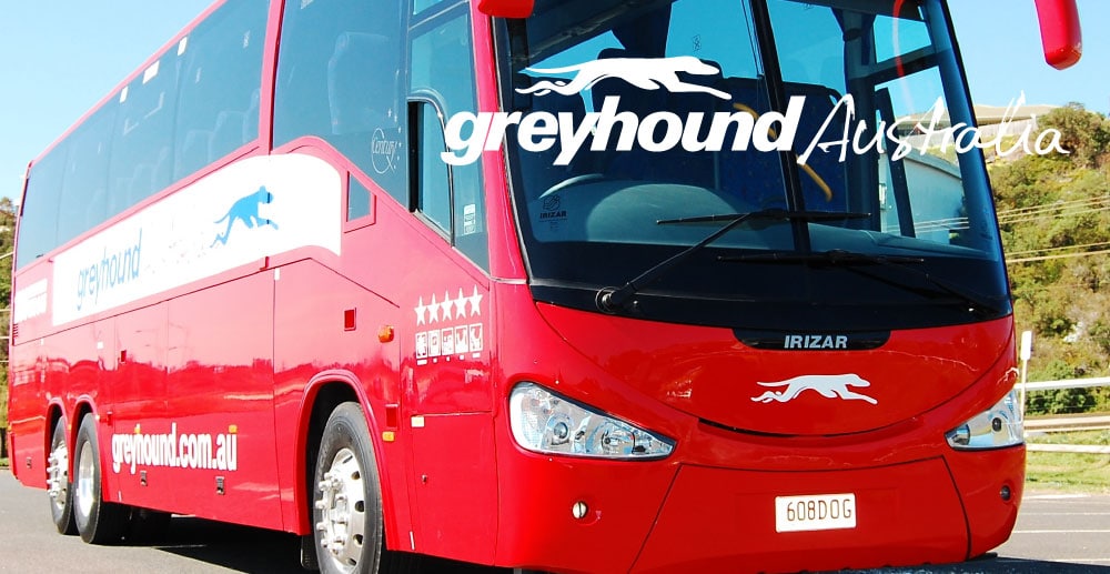 Greyhound-Bus-Australia