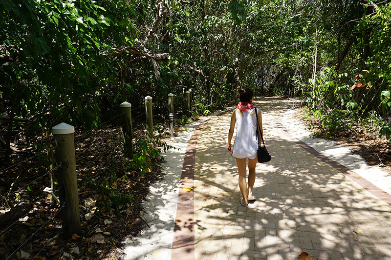 Rainforest Walk on Green Island
