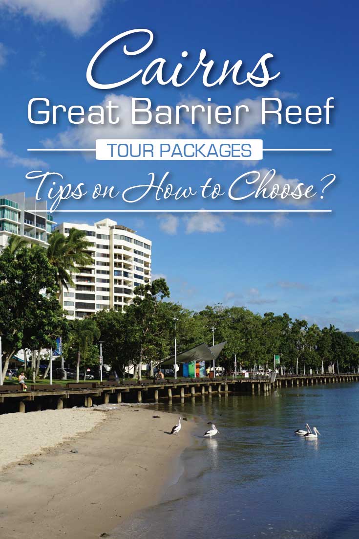 Cairns Great Barrier Reef Tour Packages Tips How to Choose!