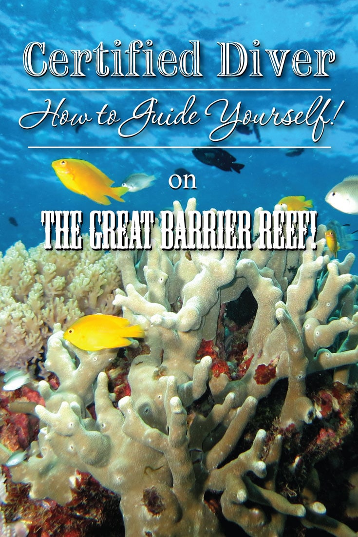 Certified Diver - How to Guide Yourself around The Great Barrier Reef