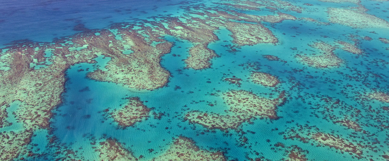 The Great Barrier Reef Reef Australia