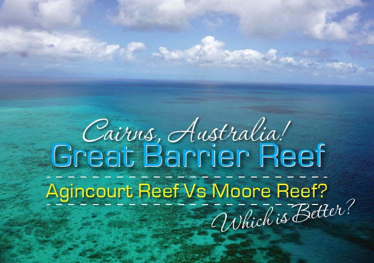 Agincourt Reef Vs Moore Reef Which is Better