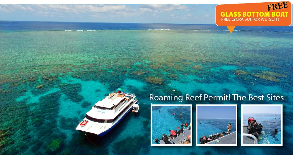 MAGIC2 DIVE & SNORKEL Cairns Tour Info